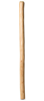 Medium Size Natural Finish Didgeridoo (TW683)